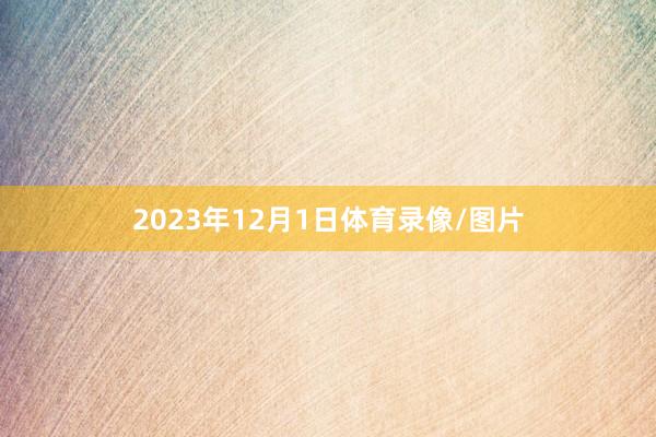 2023年12月1日体育录像/图片