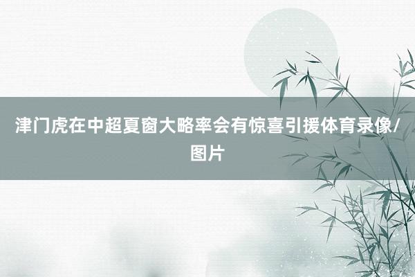 津门虎在中超夏窗大略率会有惊喜引援体育录像/图片
