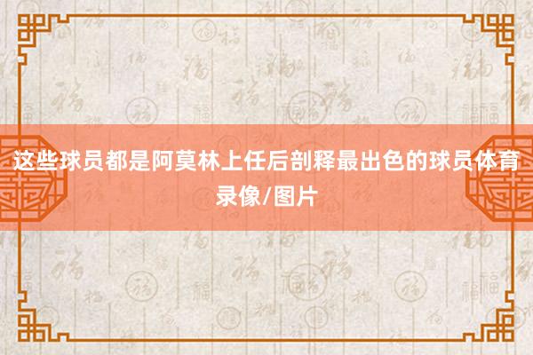 这些球员都是阿莫林上任后剖释最出色的球员体育录像/图片