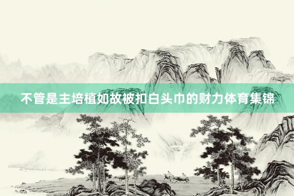不管是主培植如故被扣白头巾的财力体育集锦