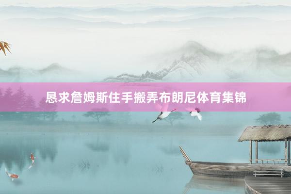 恳求詹姆斯住手搬弄布朗尼体育集锦