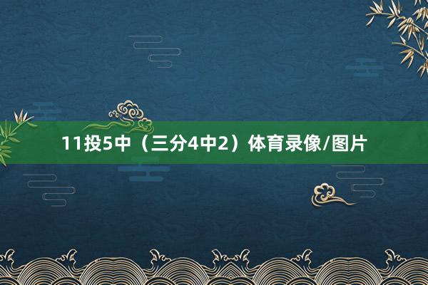 11投5中（三分4中2）体育录像/图片