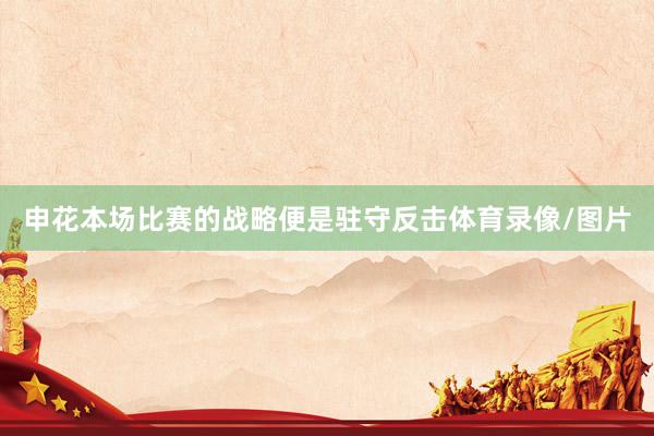 申花本场比赛的战略便是驻守反击体育录像/图片