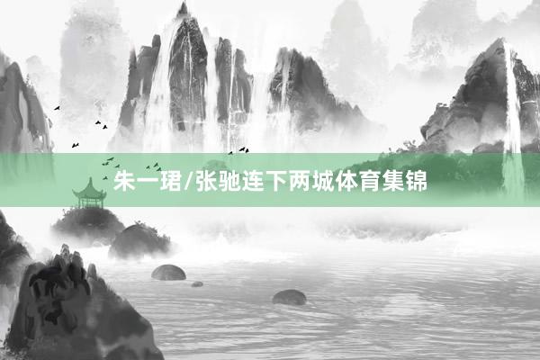 朱一珺/张驰连下两城体育集锦
