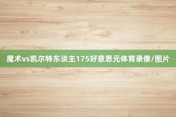 魔术vs凯尔特东谈主175好意思元体育录像/图片