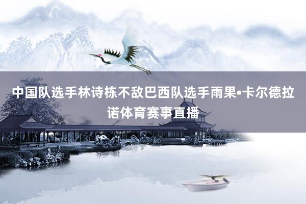 中国队选手林诗栋不敌巴西队选手雨果•卡尔德拉诺体育赛事直播