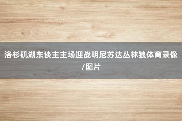 洛杉矶湖东谈主主场迎战明尼苏达丛林狼体育录像/图片