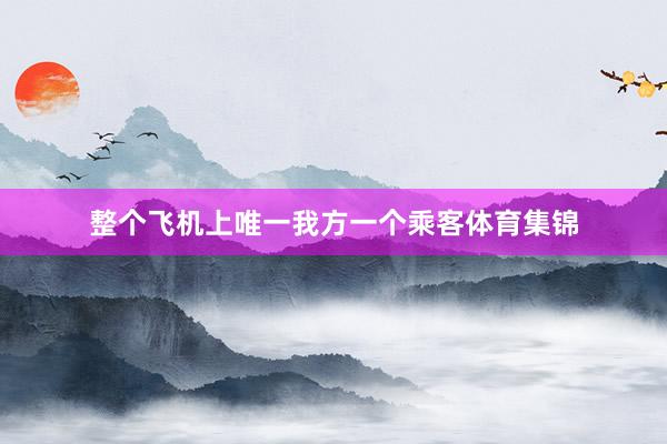 整个飞机上唯一我方一个乘客体育集锦