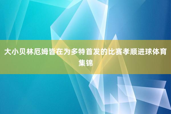 大小贝林厄姆皆在为多特首发的比赛孝顺进球体育集锦