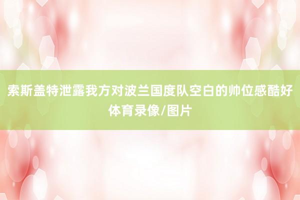 索斯盖特泄露我方对波兰国度队空白的帅位感酷好体育录像/图片