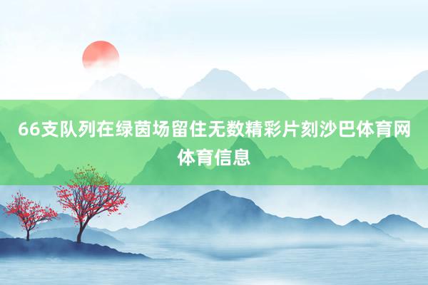 66支队列在绿茵场留住无数精彩片刻沙巴体育网体育信息