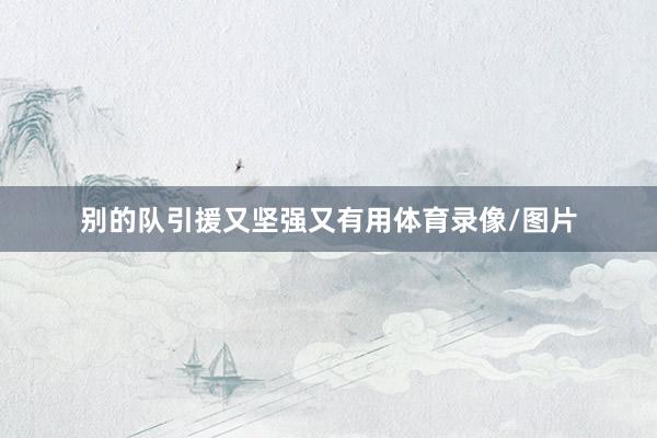 别的队引援又坚强又有用体育录像/图片