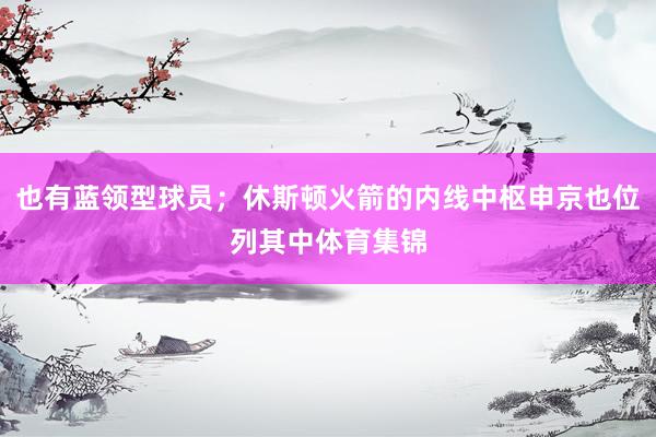 也有蓝领型球员；休斯顿火箭的内线中枢申京也位列其中体育集锦