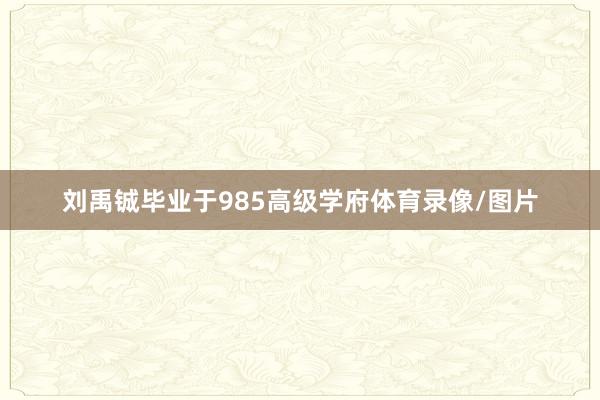 刘禹铖毕业于985高级学府体育录像/图片