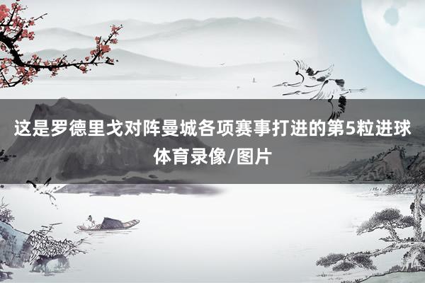 这是罗德里戈对阵曼城各项赛事打进的第5粒进球体育录像/图片