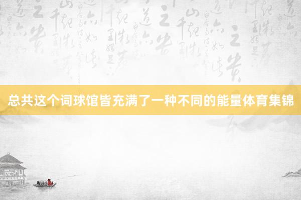 总共这个词球馆皆充满了一种不同的能量体育集锦