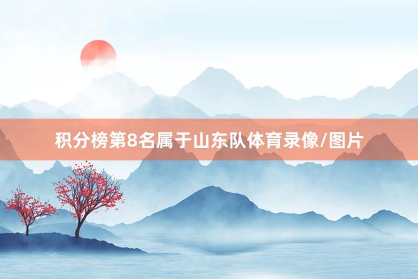 积分榜第8名属于山东队体育录像/图片