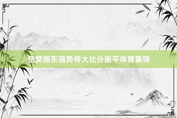 是樊振东强势将大比分扳平体育集锦