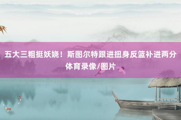五大三粗挺妖娆！斯图尔特跟进扭身反篮补进两分体育录像/图片