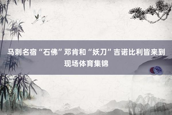 马刺名宿“石佛”邓肯和“妖刀”吉诺比利皆来到现场体育集锦